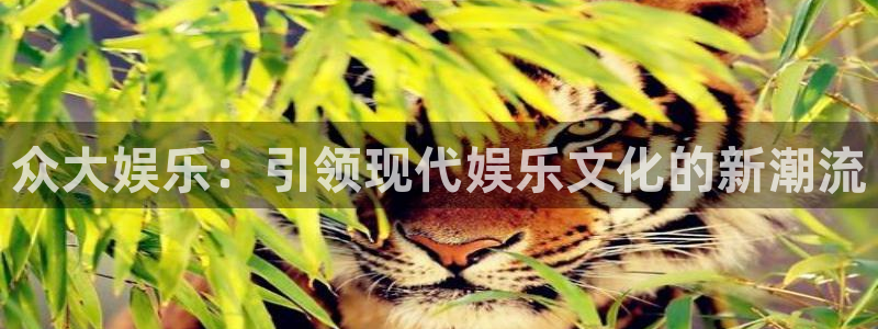 长征平台官方网站：众大娱乐：引领现代娱乐文化的新潮流