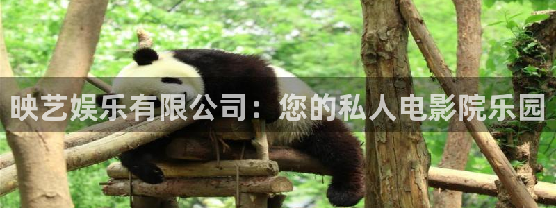 长征平台ccm赏金女王：映艺娱乐有限公司：您的私人电影院乐园