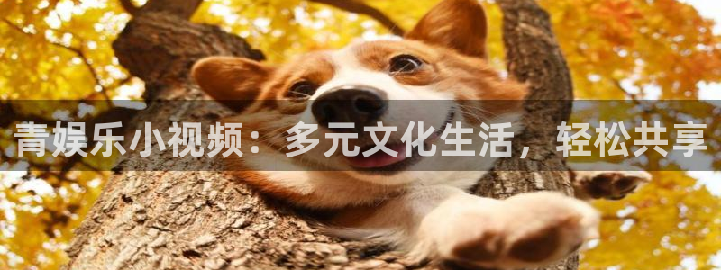 长征平台网页版：青娱乐小视频：多元文化生活，轻松共享