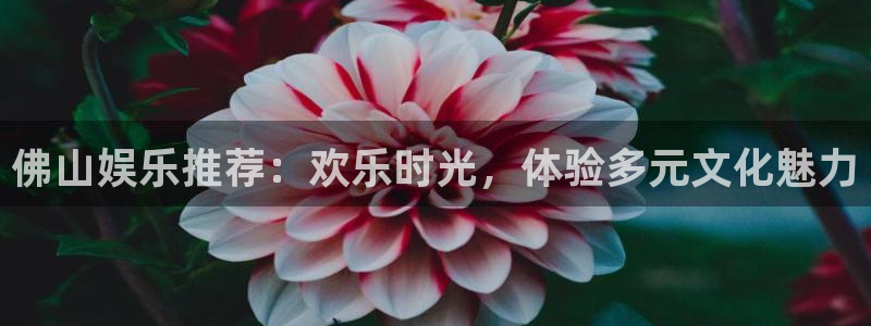 长征平台体育：佛山娱乐推荐：欢乐时光，体验多元文化魅力