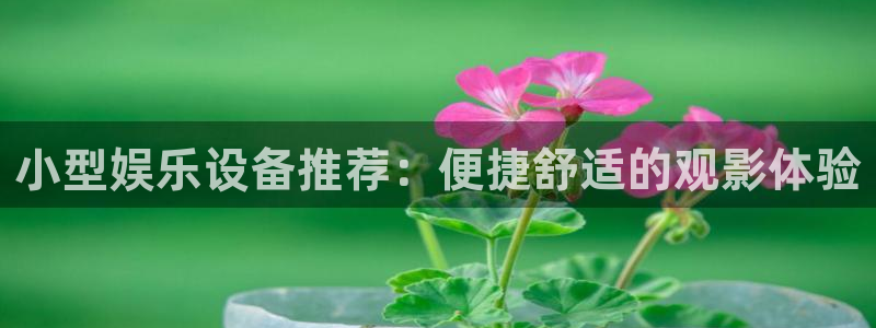 长征平台股份：小型娱乐设备推荐：便捷舒适的观影体验