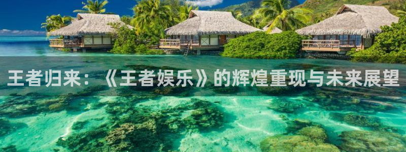长征平台k：王者归来：《王者娱乐》的辉煌重现与未来展望