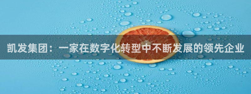 长征平台平台官方网站：凯发集团：一家在数字化转型中不断发展的领先企业