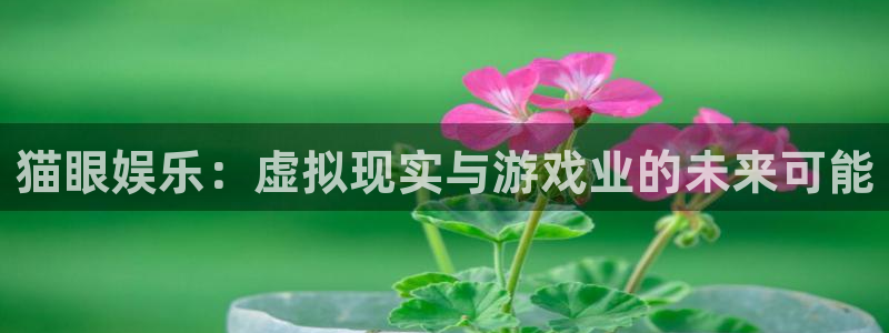 长征平台3官网登录：猫眼娱乐：虚拟现实与游戏业的未来可能