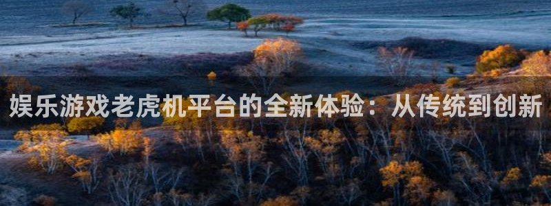 长征平台链接：娱乐游戏老虎机平台的全新体验：从传统到创新