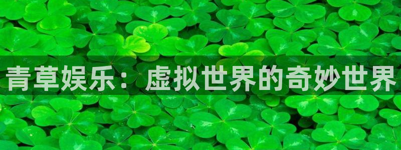 长征平台3代理：青草娱乐：虚拟世界的奇妙世界