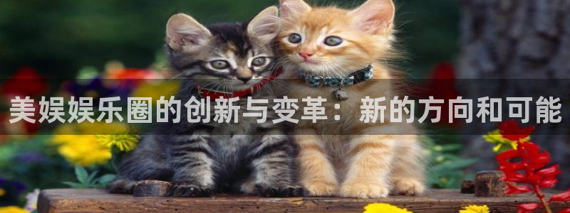 长征平台集团：美娱娱乐圈的创新与变革：新的方向和可能