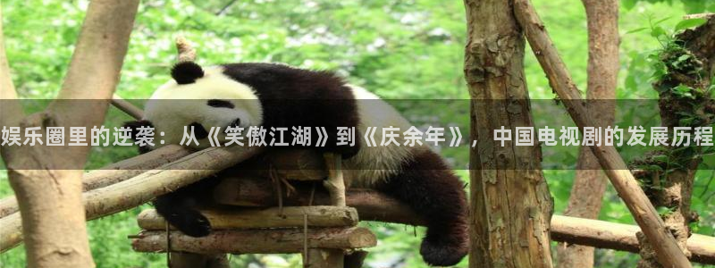 长征平台2体育：娱乐圈里的逆袭：从《笑傲江湖》到《庆余年》，中国电视剧的发展历程