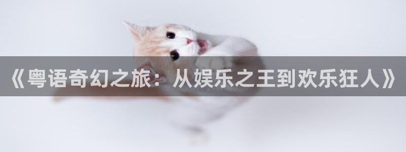 长征平台3代理：《粤语奇幻之旅：从娱乐之王到欢乐狂人》