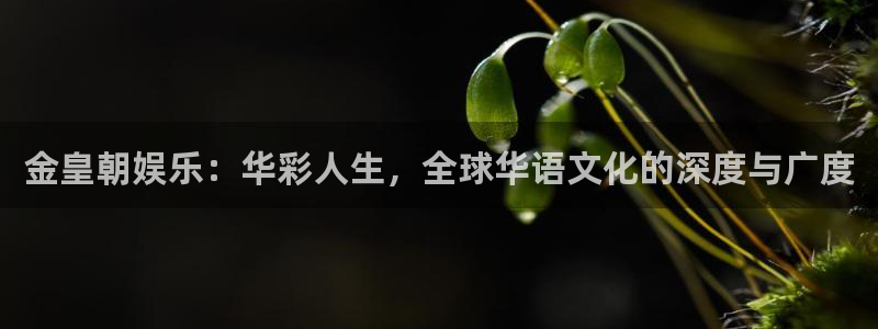 长征平台游戏：金皇朝娱乐：华彩人生，全球华语文化的深度与广度