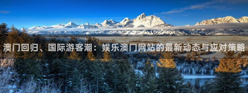 长征平台是啥：澳门回归、国际游客潮：娱乐澳门网站的最新动态与应对策略