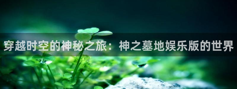 下载长征平台：穿越时空的神秘之旅：神之墓地娱乐版的世界