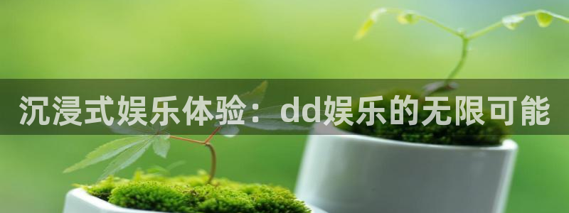 长征平台包怎么样：沉浸式娱乐体验：dd娱乐的无限可能
