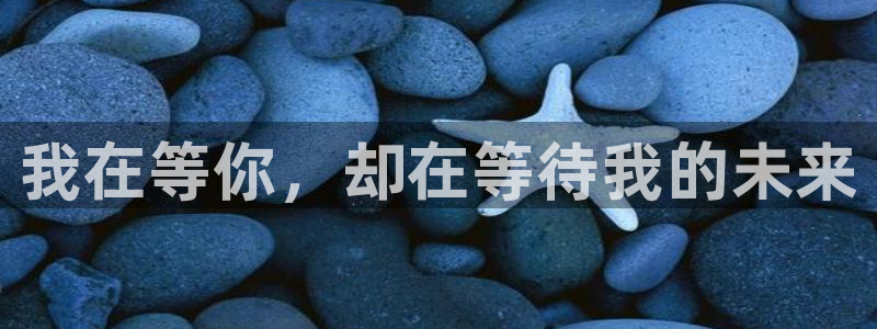 长征平台官网入口：我在等你，却在等待我的未来