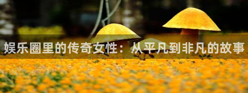 成都长征平台电子有限公司：娱乐圈里的传奇女性：从平凡到非凡的故事