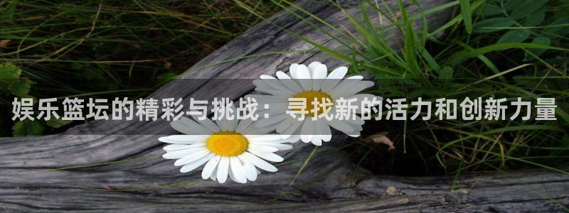 长征平台股份：娱乐篮坛的精彩与挑战：寻找新的活力和创新力量