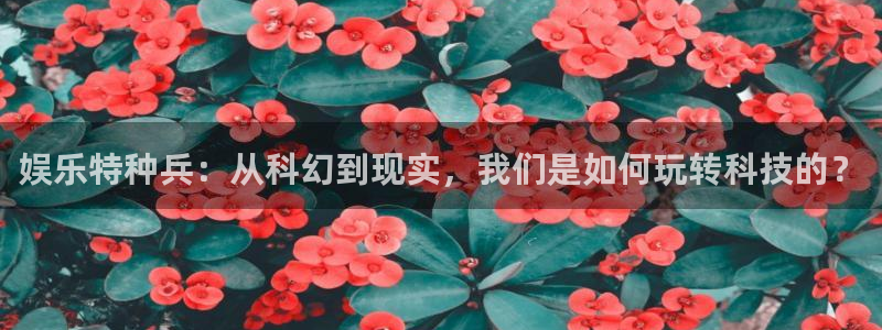 长征平台体育合法嘛：娱乐特种兵：从科幻到现实，我们是如何玩转科技的？