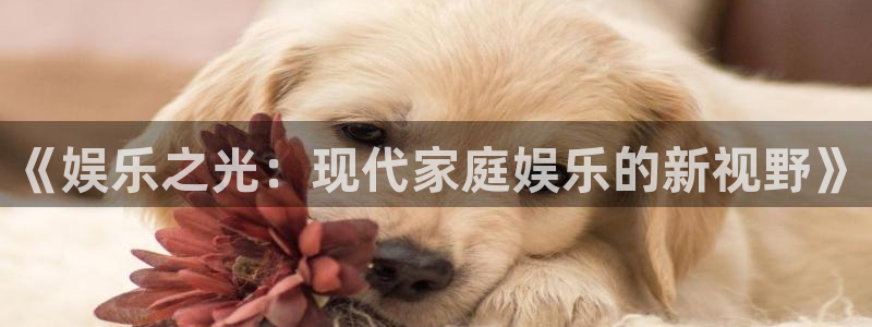 长征平台体育官网登录：《娱乐之光：现代家庭娱乐的新视野》