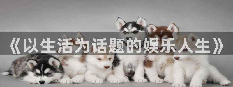 长征平台下载：《以生活为话题的娱乐人生》