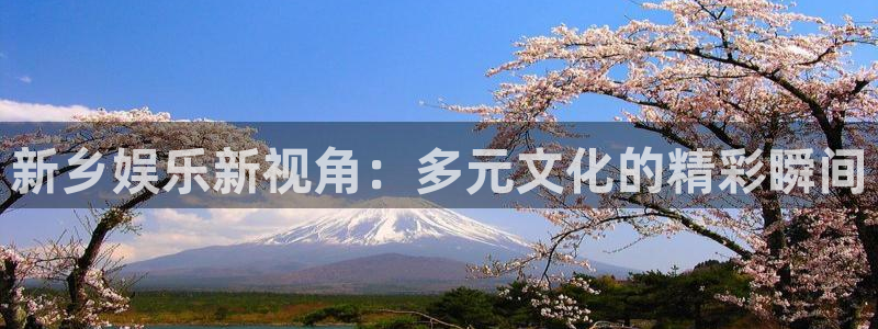 长征平台苹果手机下载链接：新乡娱乐新视角：多元文化的精彩瞬间
