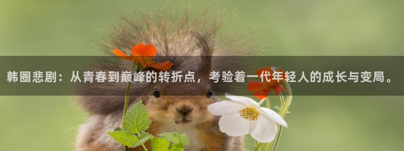 长征平台注册网站链接：韩圈悲剧：从青春到巅峰的转折点，考验着一代年轻人的成长与变