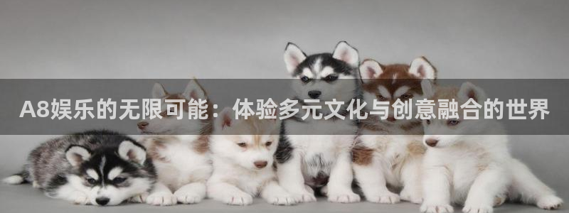 长征平台体育f开号：A8娱乐的无限可能：体验多元文化与创意融合的世界