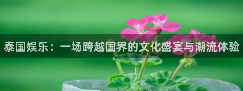 长征平台是啥：泰国娱乐：一场跨越国界的文化盛宴与潮流体验