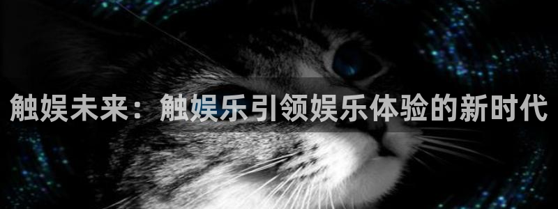长征平台4注册：触娱未来：触娱乐引领娱乐体验的新时代