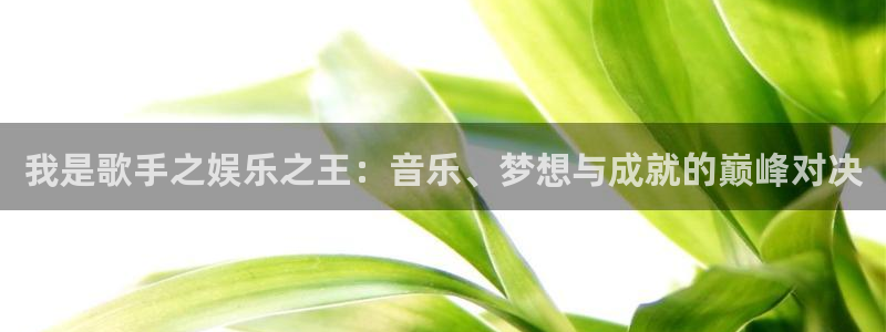 长征平台平台官网登录入口：我是歌手之娱乐之王：音乐、梦想与成就的巅峰对决