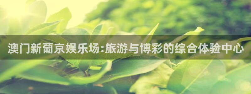 长征平台5：澳门新葡京娱乐场:旅游与博彩的综合体验中心