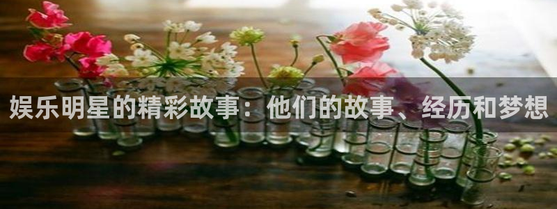 长征平台下载二维码：娱乐明星的精彩故事：他们的故事、经历和梦想