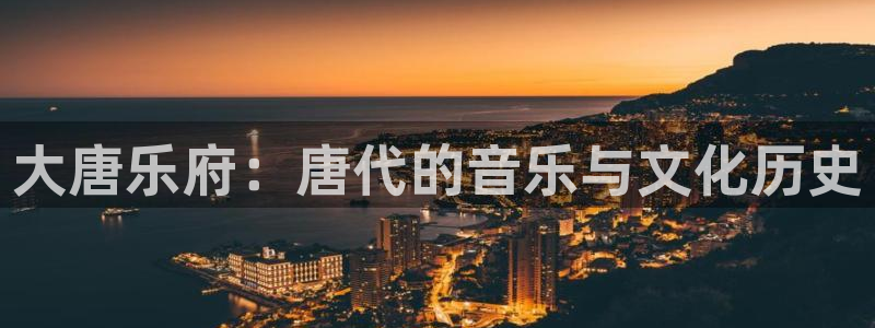 长征平台登录界面入口：大唐乐府：唐代的音乐与文化历史