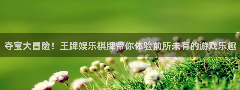 长征平台下载入口：夺宝大冒险！王牌娱乐棋牌带你体验前所未有的游戏乐趣